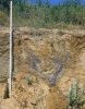 Ardleigh Gravel Pit in 1975 (ice wedge cast) 