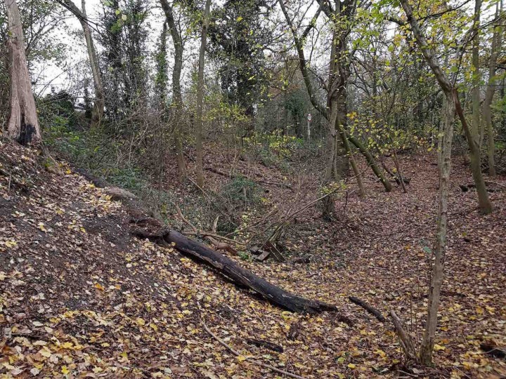 Gravelhill Wood - South Pit Copyright: Jeff Saward