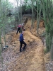 Preparing the Bagshot Sand section to be open to the public