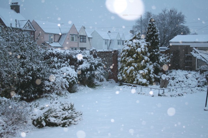 Snow in Grays 30 Nov 2010 Copyright: Peter Harvey