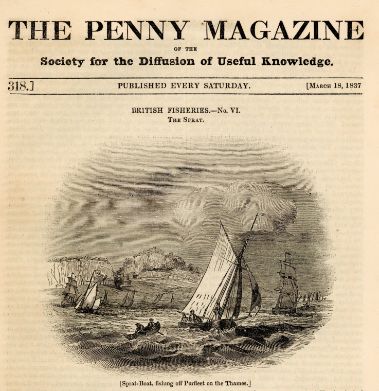 Purfleet Sprat Fishing with chalk cliffs 1837 Copyright: Penny Magazine