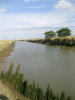 Beaumont Cut near Quay and Lime Kiln1869 in 2014 