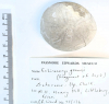 Echinoid Echinocorys gravesi Littlebury Heavy Hill M11 1978 top 