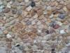 Bunter quartzite and Hertfordshire puddingstone.