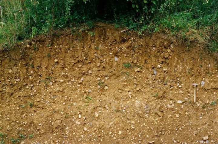 Close up of glacial gravel in Wades Hall Gravel Pit in 1980 Copyright: British Geological Survey (P212596).