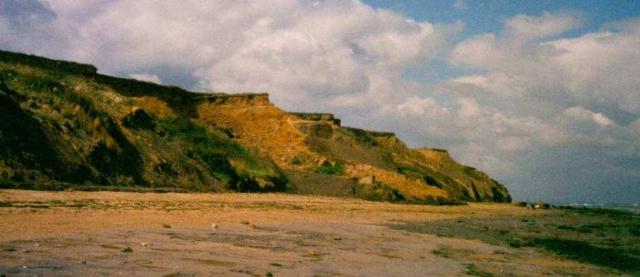 Naze cliffs Copyright: unknown