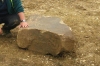 The Priors Green Sarsen Stone shortly after it was discovered.