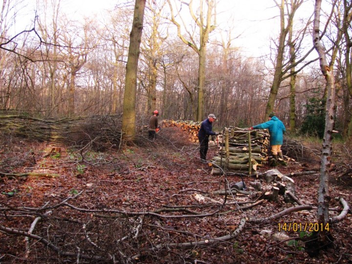 Thrift Wood Bicnacre Copyright: Graham Smith