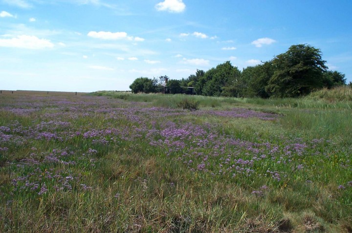 Linnet's Cottage Bradwell 2 Copyright: Graham Smith