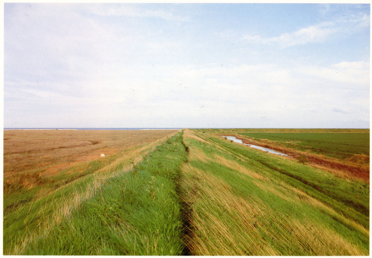 Dengie Marshes Mark Mitchels 1992 Copyright: Mark Mitchels Essex A Portrait in Colour 1992