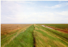 Dengie Marshes Mark Mitchels 1992