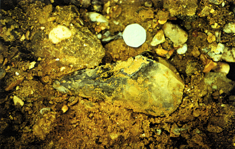 Aveley Belhus Park Acheulian Hand Axe in situ Copyright: Graham R Ward Archive 