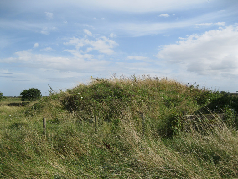 Beaumont Lime Kiln mound view 29 August 2014 Copyright: William George