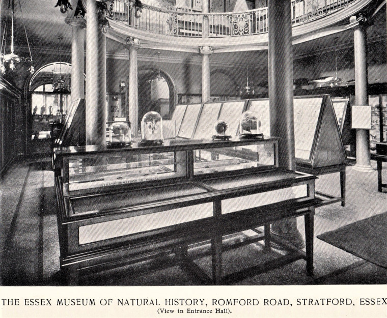 Passmore Edwards Museum Stratford Entrance Hall Romford Road Copyright: William George
