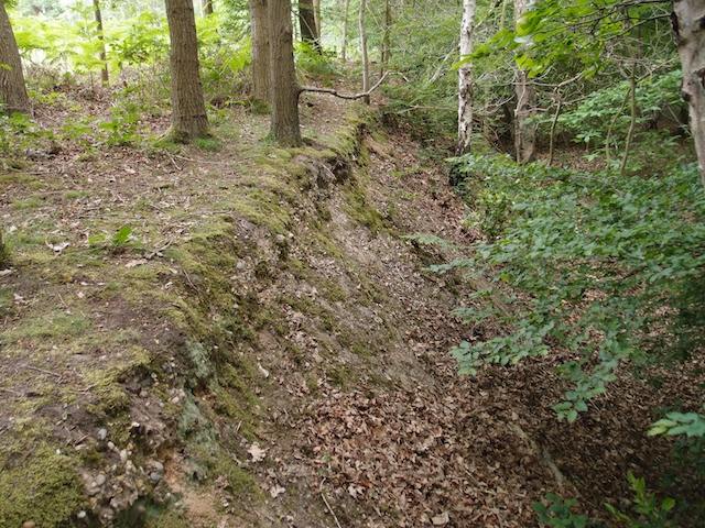 Thorndon Country Park section before starting work Copyright: Gerald Lucy