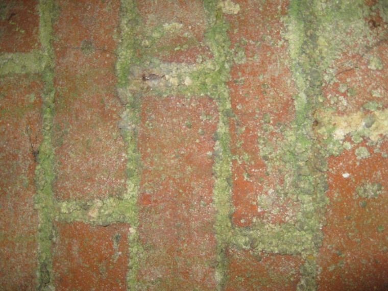 Beaumont 1869 Lime Kiln Interior Brick Detail August 2014 Copyright: William George