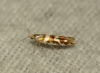 Argyresthia goedartella 3