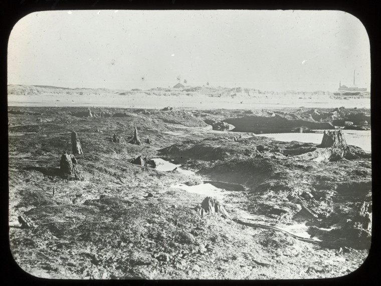 Submerged Forest Bed Magic Lantern Slide about 1900 Copyright: C A Defieux