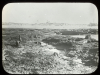 Submerged Forest Bed Magic Lantern Slide about 1900