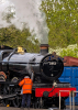 North Weald Steam Train 1 5th May 2025