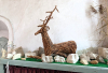 Tilty Church Loose stones and deer 17 June 2025