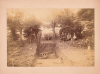 Loughton Camp Excavation Photograph 1882 