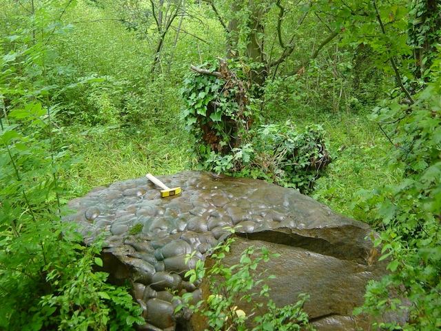 Sarsen stone on the rim of Grays Chalk Pit in 2005 Copyright: Di Clements