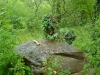 Sarsen stone on the rim of Grays Chalk Pit in 2005