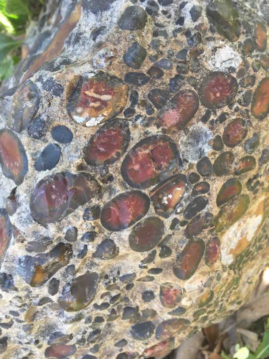 Close up of the Puddingstone at South Weald Church Copyright: Gerald Lucy