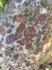 Close up of the Puddingstone at South Weald Church 