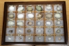 Alec Smith Egg Collection 