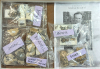 Display Case of Essex Fossils from David T. Turner 