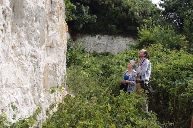 Examining the chalk cliff at Limefields Pit Nature Reserve Copyright: Gerald Lucy