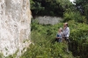 Examining the chalk cliff at Limefields Pit Nature Reserve