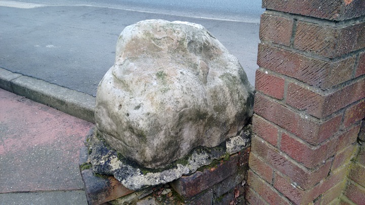 Colchester Greenstead small sarsen boulder 2018 Copyright: Preston Boyles