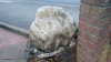 Colchester Greenstead small sarsen boulder 2018 