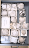 Chalk Fossils Littlebury M11 1978 Drawer 2 
