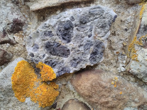 Part of a Hertfordshire puddingstone quern stone Copyright: Mike Howgate