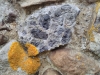 Part of a Hertfordshire puddingstone quern stone