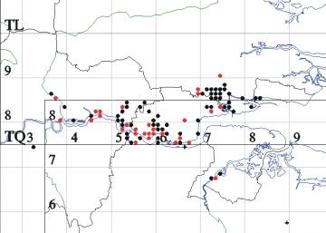 Bombus humilis map Copyright: EFC