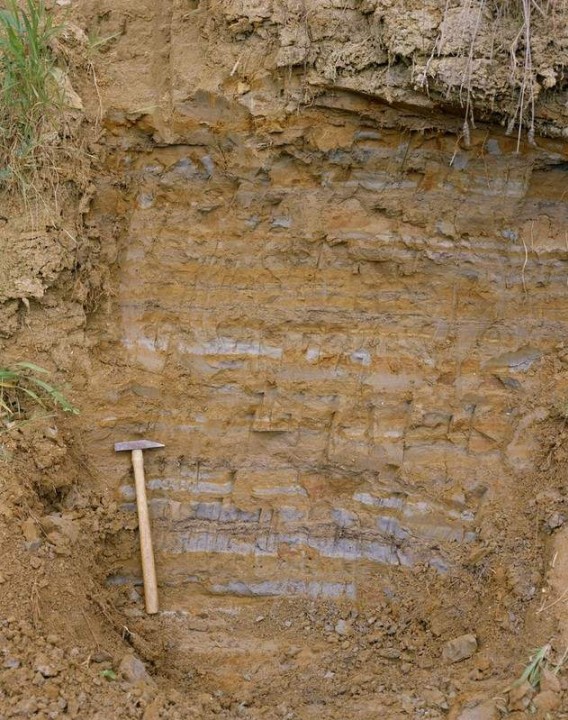 Finely laminated silty clay at Marks Tey Copyright: Gerald Lucy