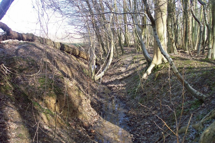 Stoneymore Medieval Wood Bank Copyright: Graham Smith