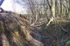 Stoneymore Medieval Wood Bank  