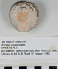 Test (shell) of sea-urchin Micraster coranguinum underside 
