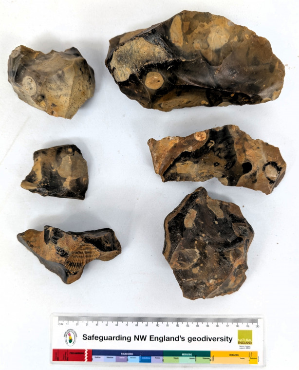Botany Pit Purfleet Six Paleolithic flints Copyright: Jack Caldwell