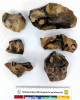 Botany Pit Purfleet Six Paleolithic flints  