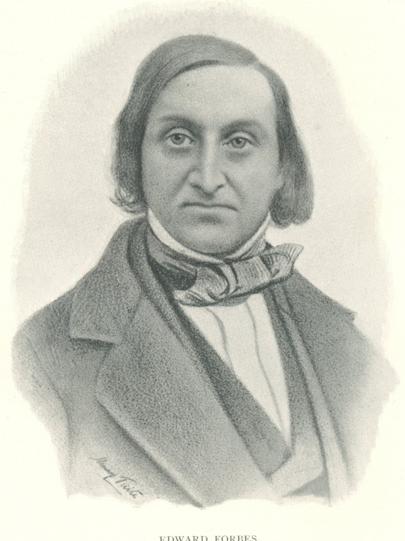 Edward Forbes 1815 to 1854 Naturalist Copyright: Essex Field Club Archive