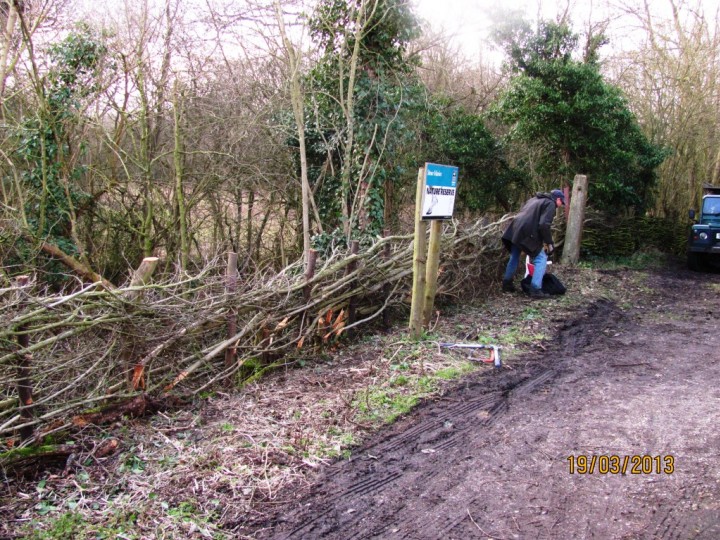 Layered hedge Copyright: Graham Smith