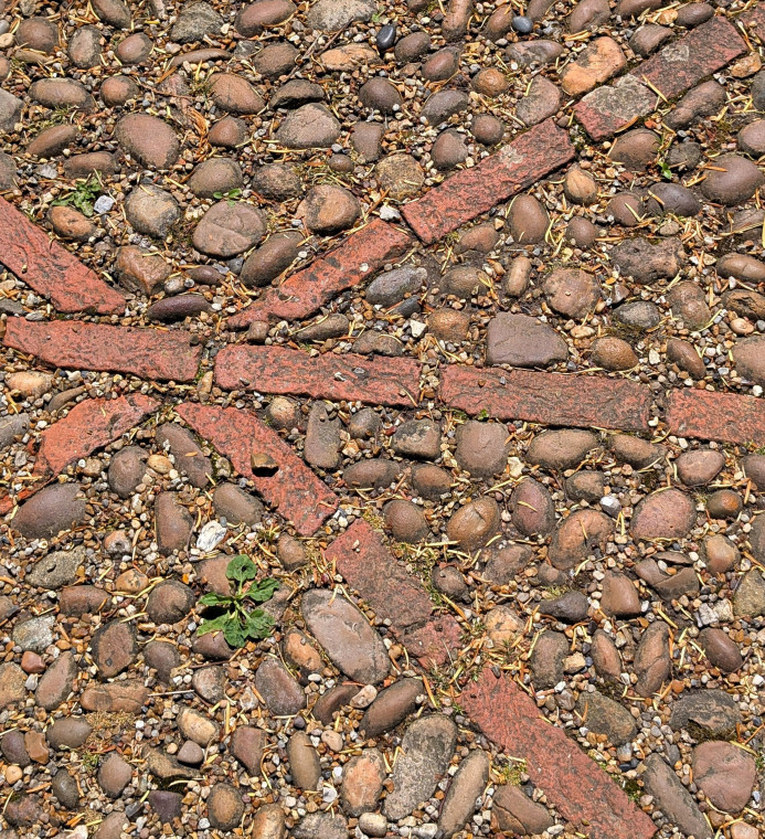 Hatfield Broad Oak Church Path Tile and Pebbles 27 June 2025 Copyright: William George