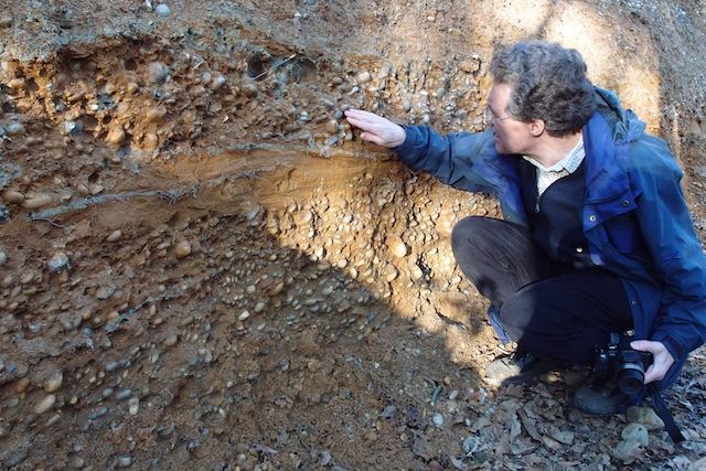 Examining the new Thorndon Country Park section in 2011 Copyright: Gerald Lucy